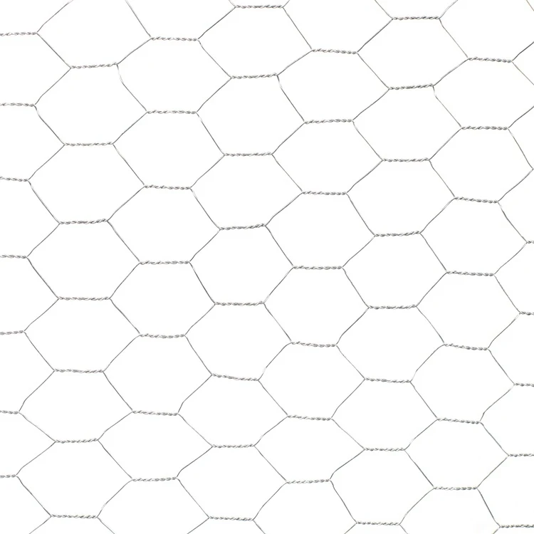 Choose Hexagonal Wire Mesh for Your Next Project