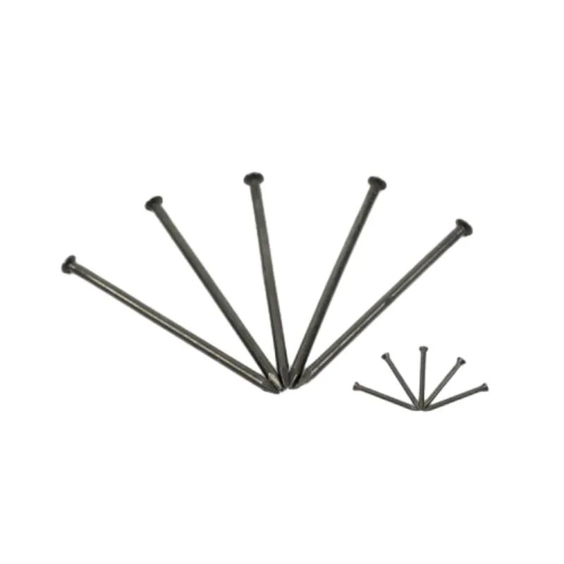 Explore the Strength and Versatility of Iron Nails