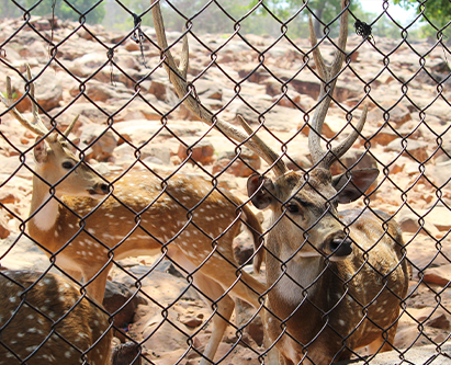 custom anchor bolt flat custom anchor bolt flat