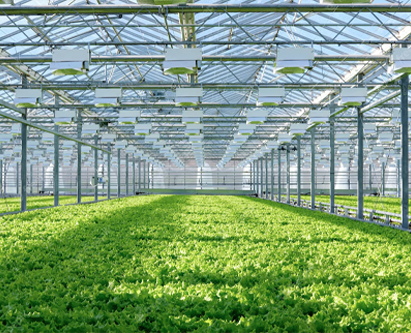 स्वस्त 201 4 इंच 1 किलो बॉक्स 25 किलो कार्टन कंक्रीट नखरे