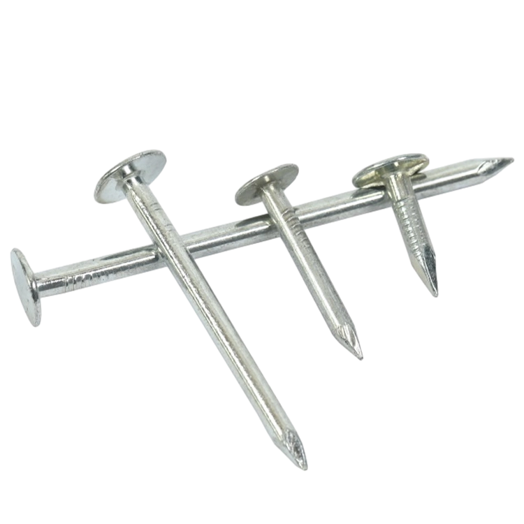 الجملة تأثير مسامير السقف