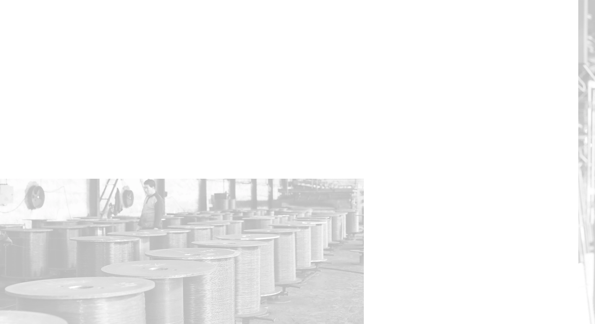 Influential Nail Designs with Bold Head Shapes for Unique Styles