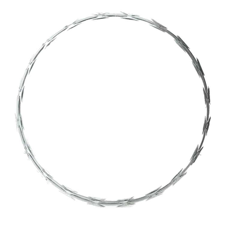 Exploring Popular Suppliers for Common Nail Storage Solutions and Their Innovative Offerings Exploring Popular Suppliers for Common Nail Storage Solutions and Their Innovative Offerings