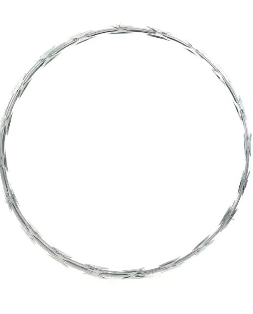 The Essential Role of Razor Wire in Modern Perimeter Security