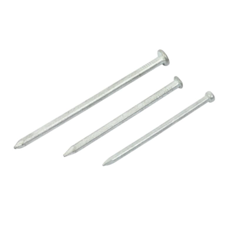 Galvanized Square Boat Nails