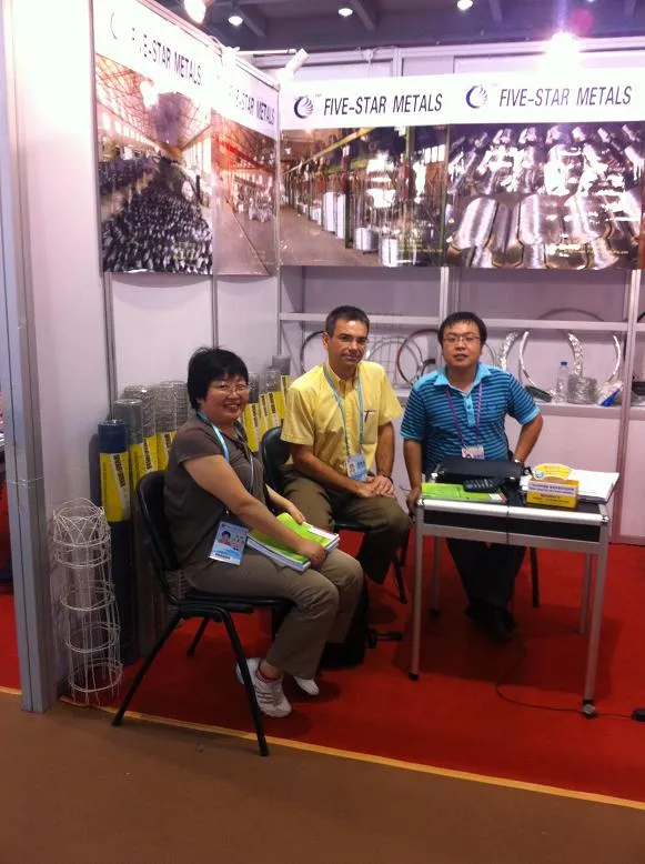 OEM Electro Galvanized Chain Link Fencing Solutions for Enhanced Durability and Security