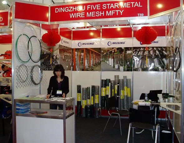 Iron Wire Ties for Various Applications in China