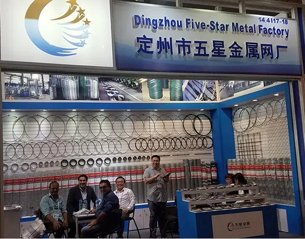 Wholesale 9 Gauge Galvanized Chain Link Fencing for Durable and Secure Enclosures