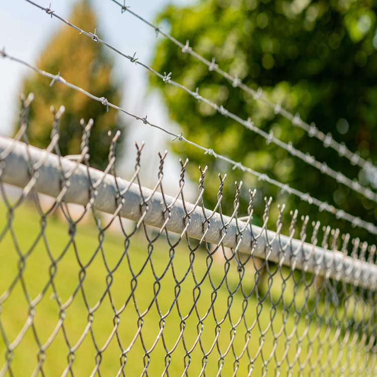 Pricing Guide for Wire Mesh Panels Used in Chicken Coops and Cages