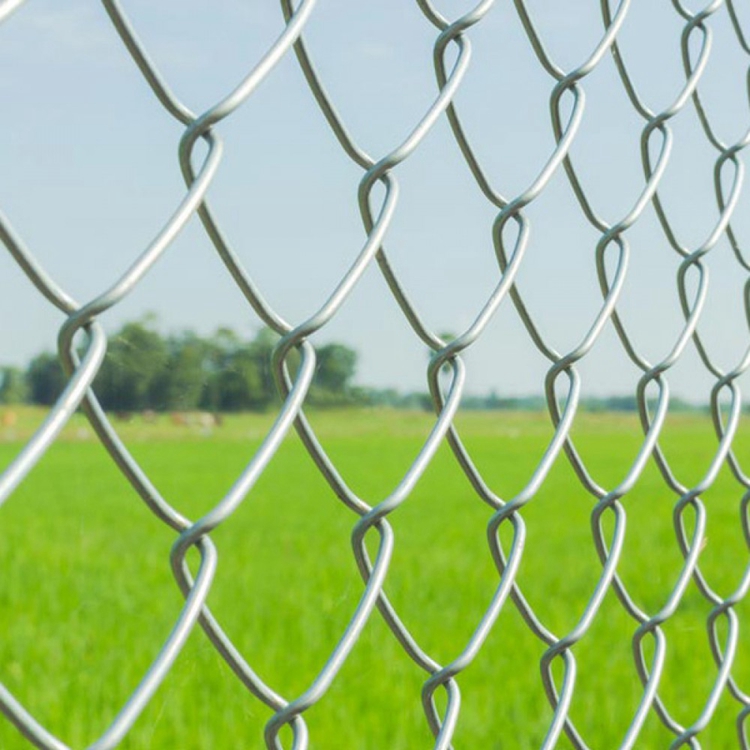 Affordable Galvanized Welded Wire Mesh for Various Applications and Projects