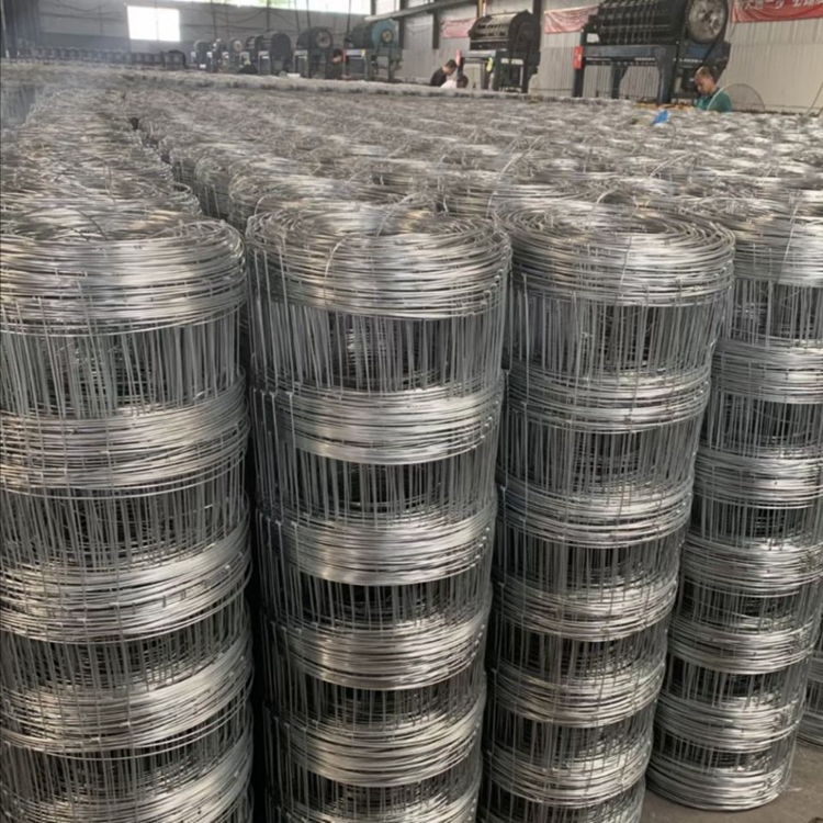 レテメタリカポリのとについてる レテメタリカポリのとについてる