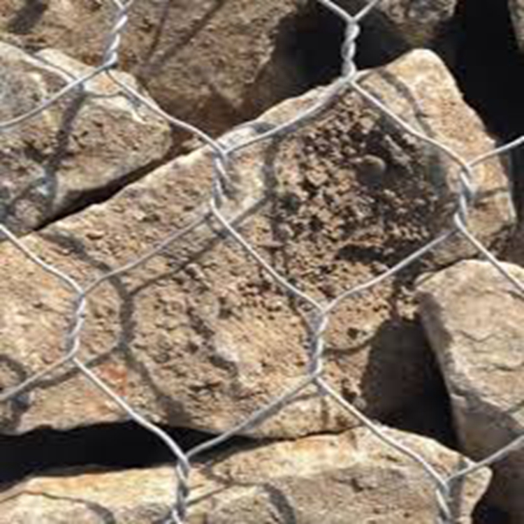 Top Suppliers of CN80 Nail Coil Pallets for Your Construction Needs