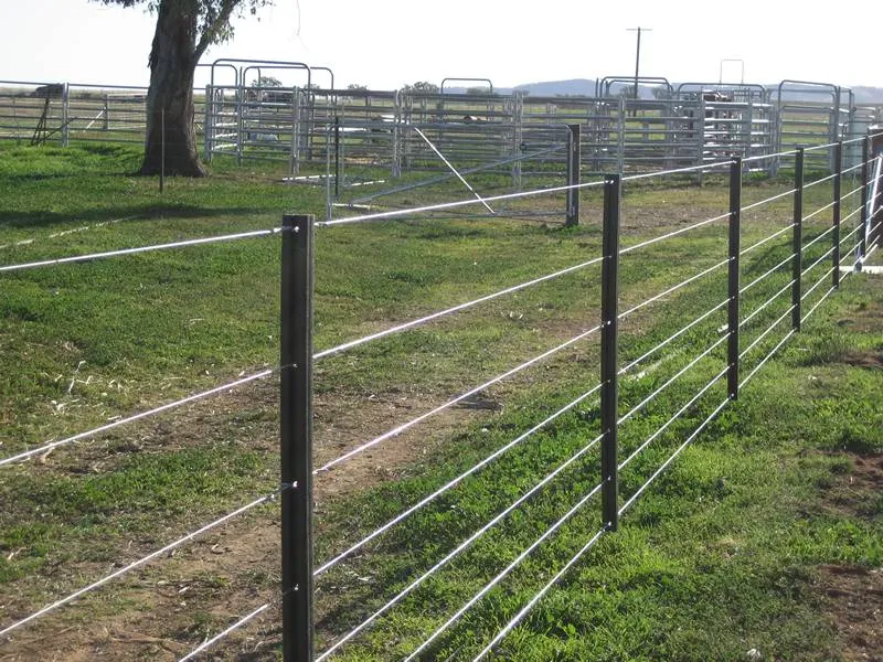 Affordable Steel Wire Mesh for Chicken Coops and Fencing Solutions