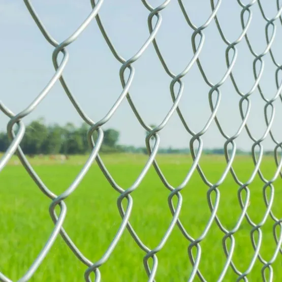 Securing the Modern Jobsite: The Strategic Role of Temporary Chain Link Fencing