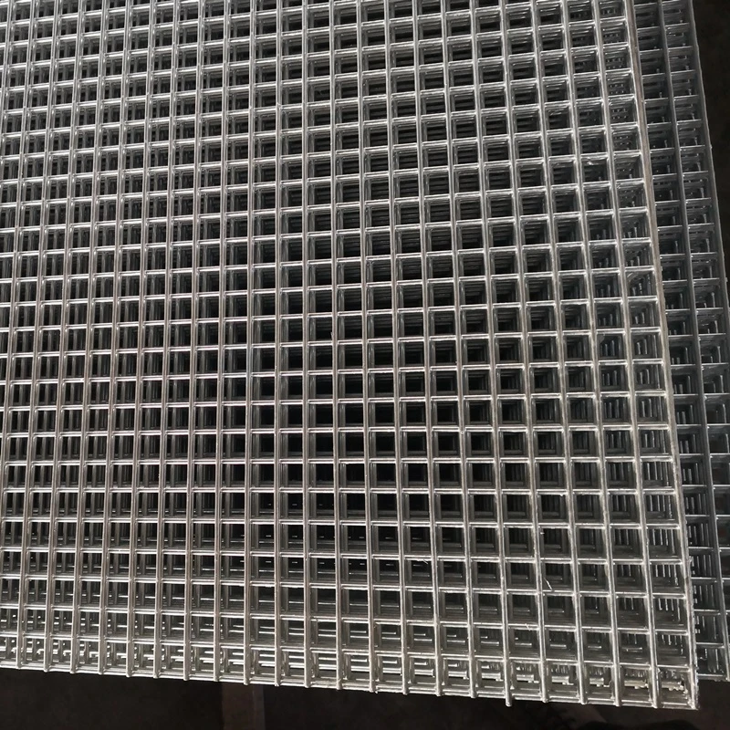 Durable Welded Wire Mesh Panels & Rolls for Fencing & Enclosures
