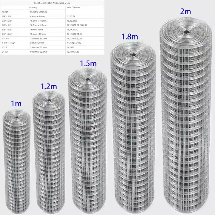 Galvanized Welded Wire Mesh for Sale