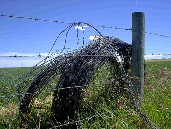 Strengthen Your Security with Durable Barbed Wire