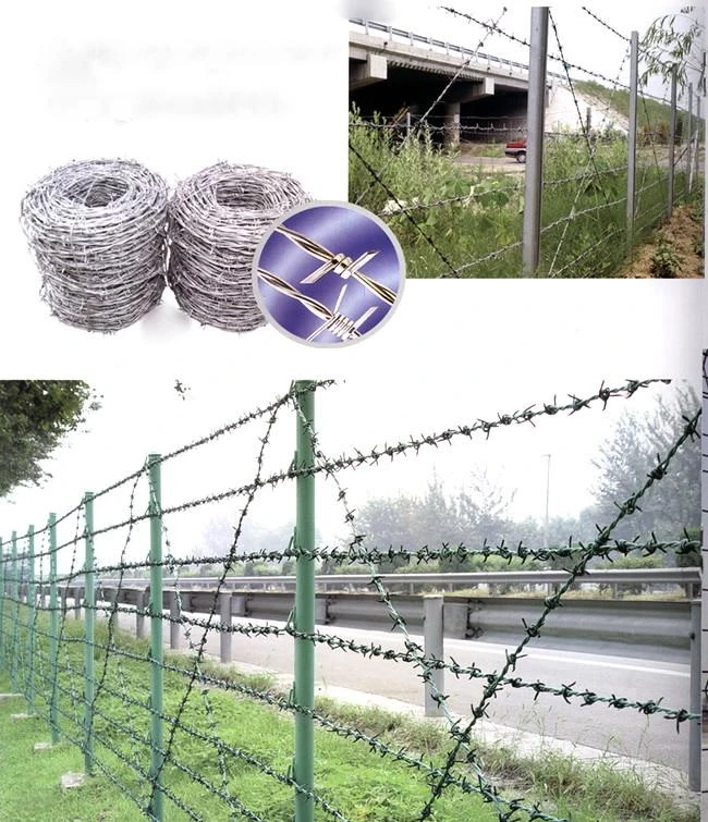 Affordable and Secure Fencing Solutions