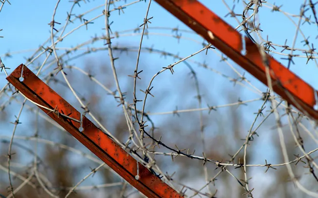 Strengthen Your Security with Durable Barbed Wire