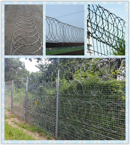 Affordable and Secure Fencing Solutions