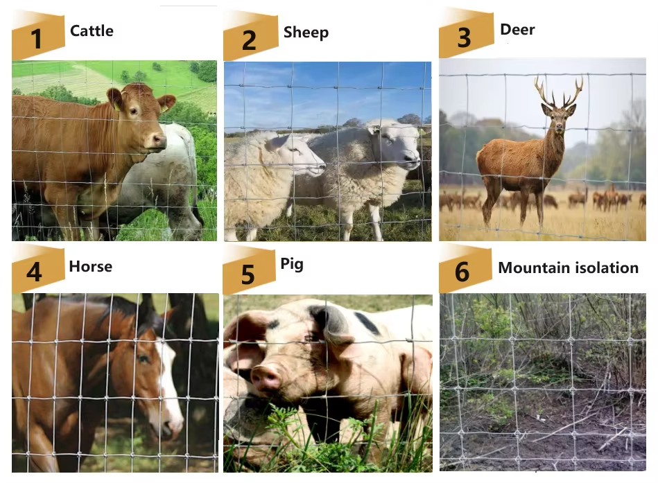 Best Materials for a Durable Field Fence