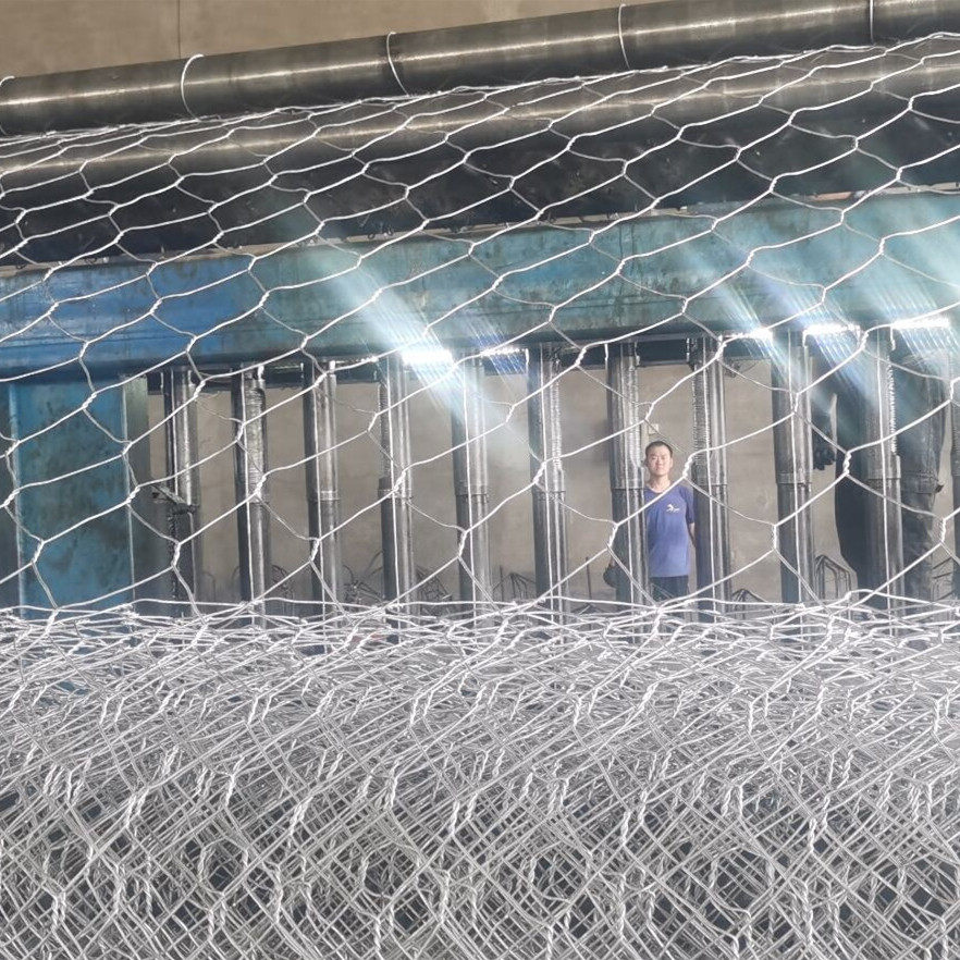 Strong Double Twisted Hexagonal Gabion Mesh Roll: Erosion Control