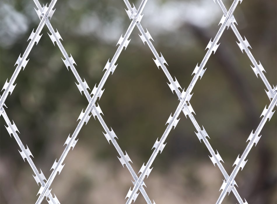 Galvanized/PVC Welded Razor Wire Mesh for Fence: High Security