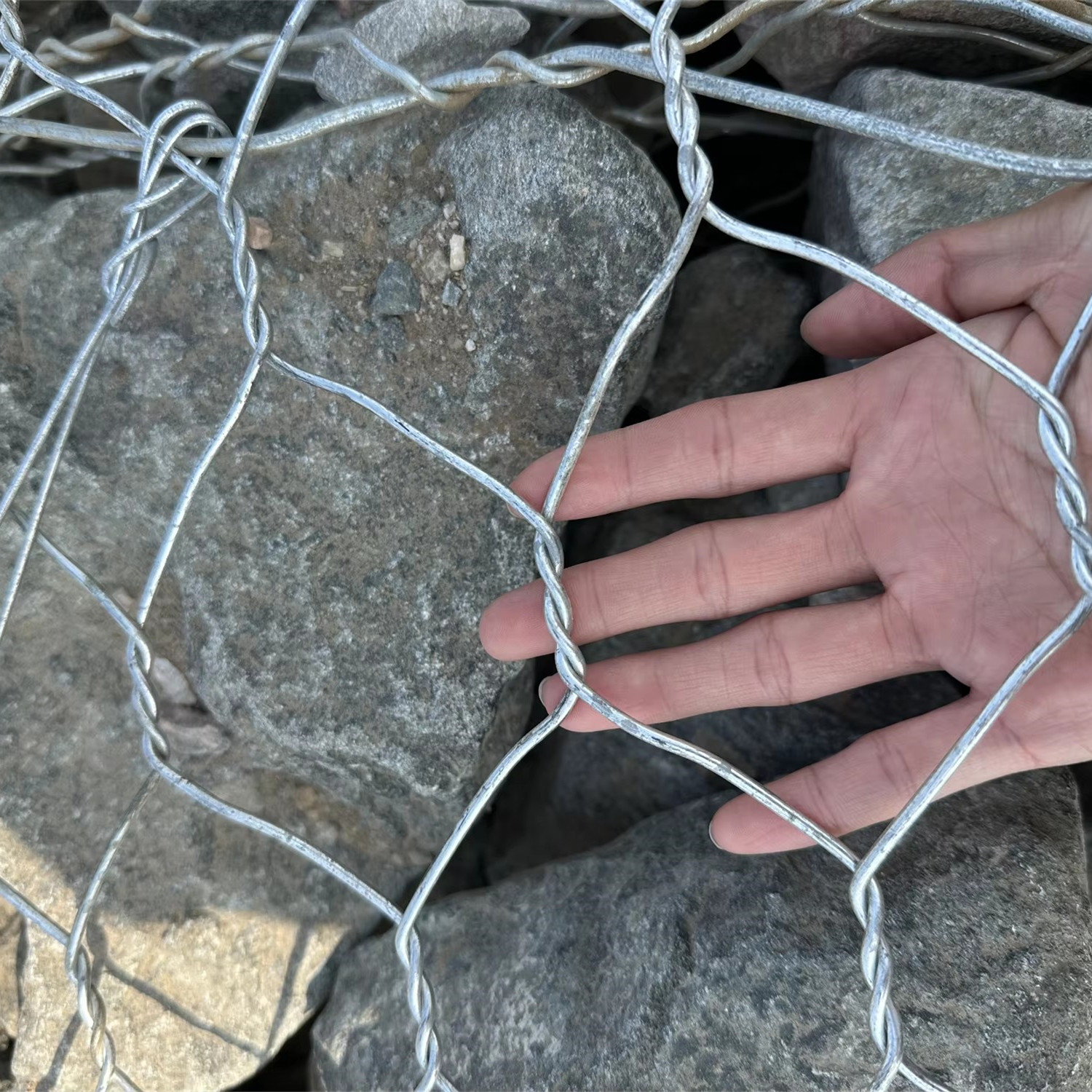 Durable Welded Wire Mesh Panels & Rolls | Strong & Versatile Solutions