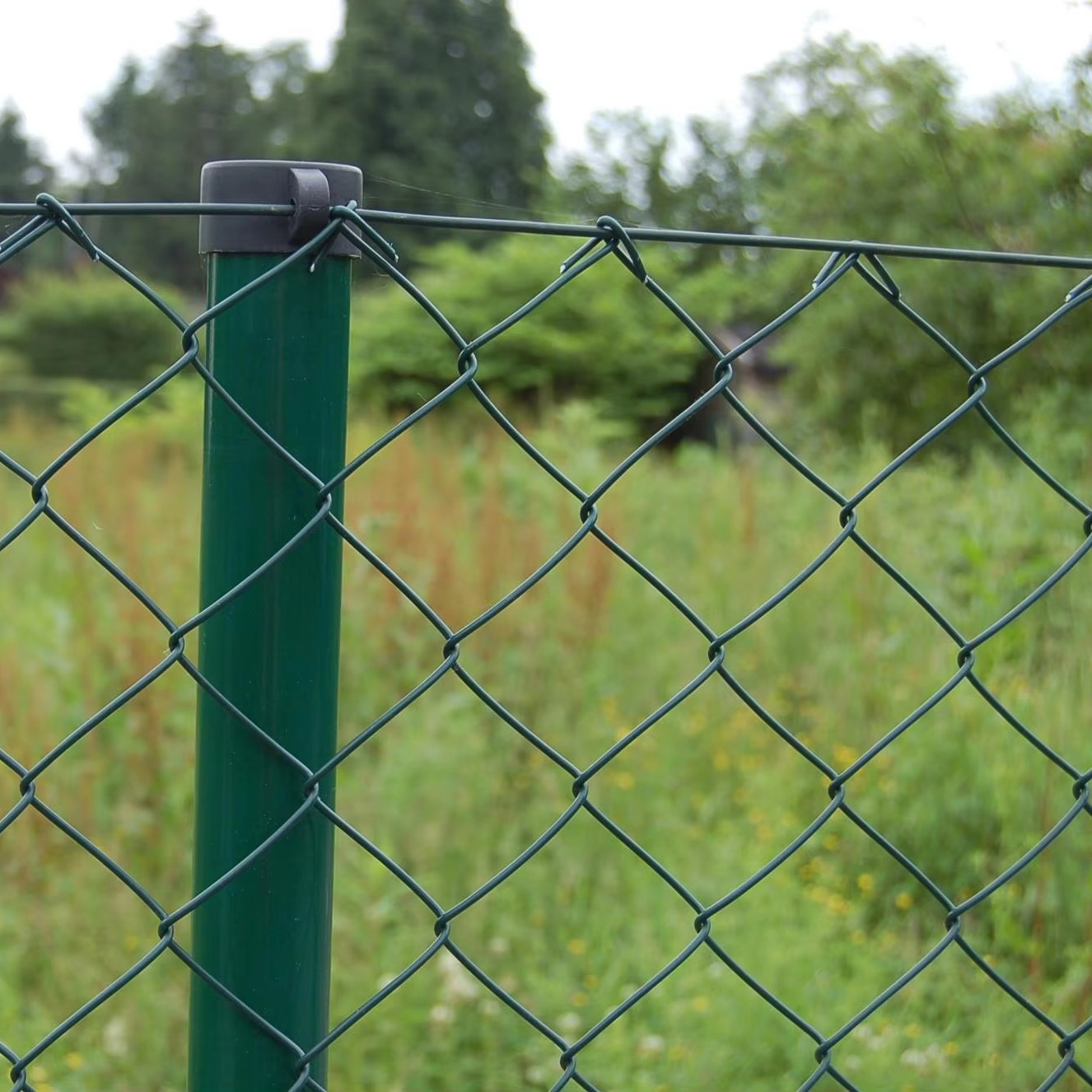 Durable Welded Wire Mesh Panels & Rolls | Strong & Versatile Solutions