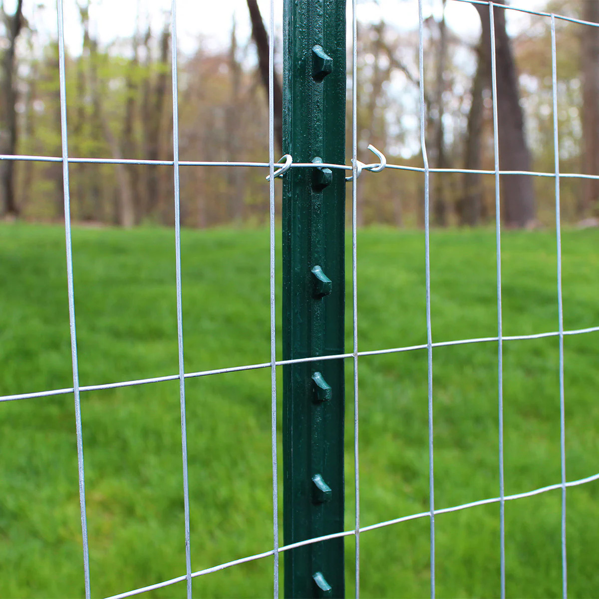 Durable Welded Wire Mesh Panels & Rolls | Strong & Versatile Solutions