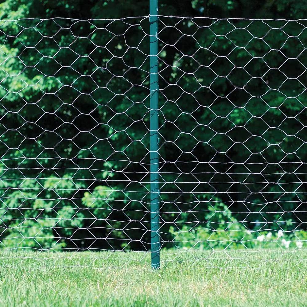 Durable Welded Wire Mesh Panels & Rolls | Strong & Versatile Solutions