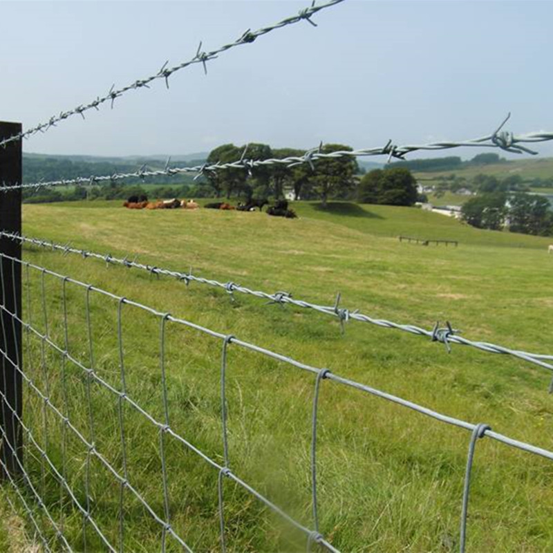 Durable Welded Wire Mesh Panels & Rolls | Strong & Versatile Solutions