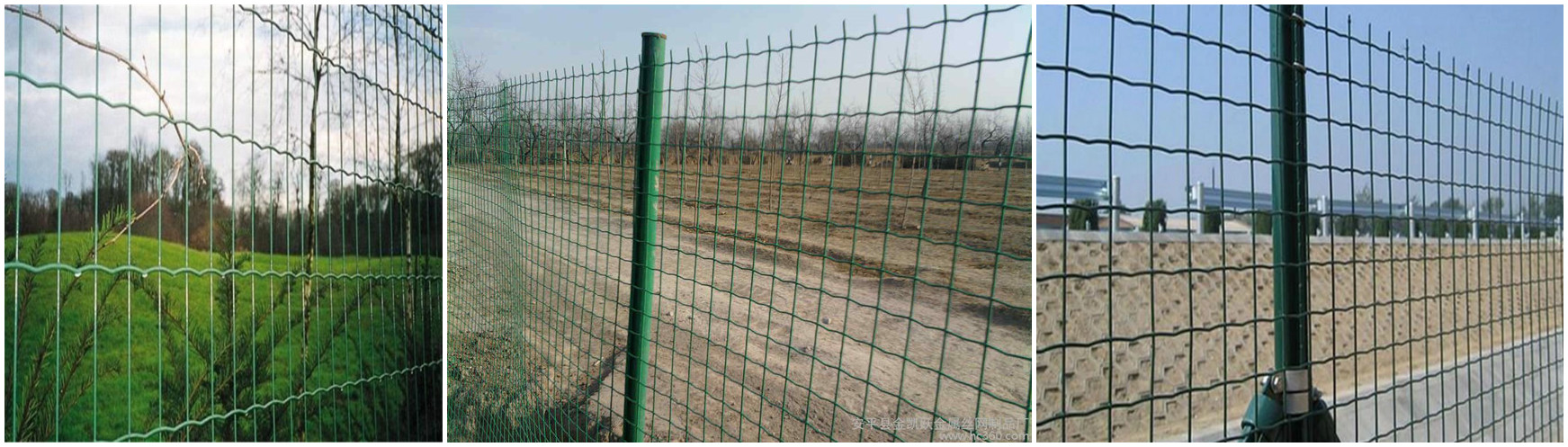 Euro Steel Wire Mesh Fence: Durable & Secure Fencing