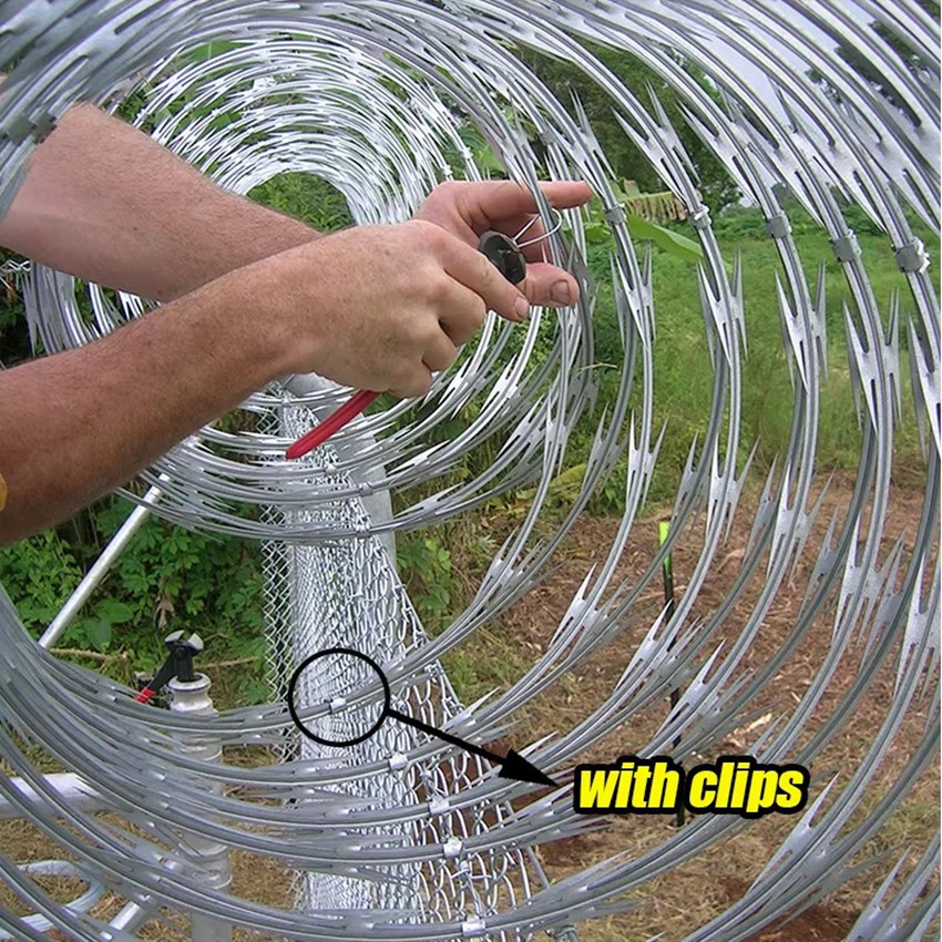 High-Security Galvanized/PVC Coated Welded Razor Wire Mesh Fence