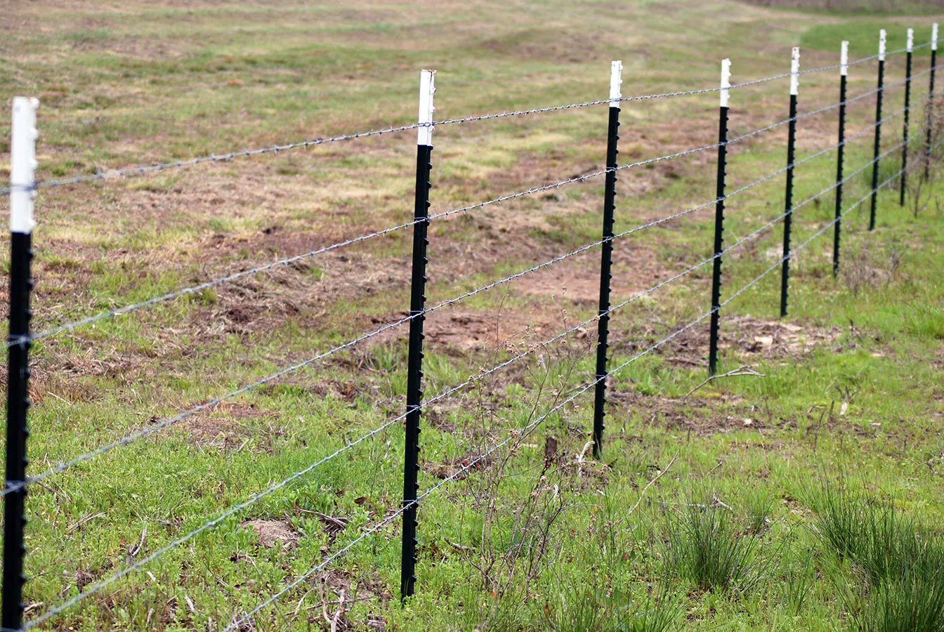 Studded T Post: Durable, Cost-Efficient Steel Fencing Solutions Worldwide