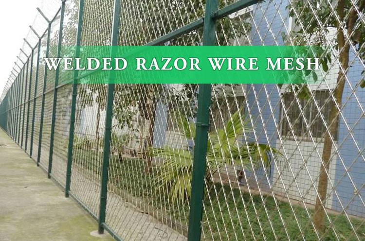 Durable Security Razor Wire Fence Solutions for Global Safety Needs