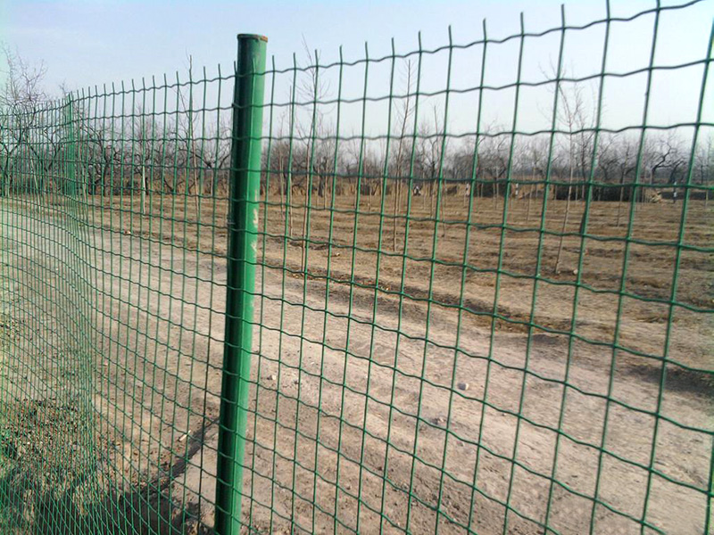 Durable & Customizable China Steel Wire Mesh for Industrial Use