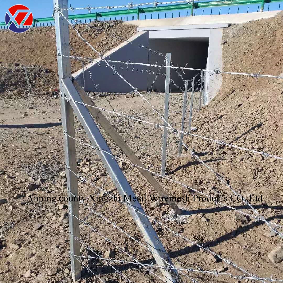 Durable & Affordable China Barbed Wire for Sale | Industrial-Grade Fence Wire