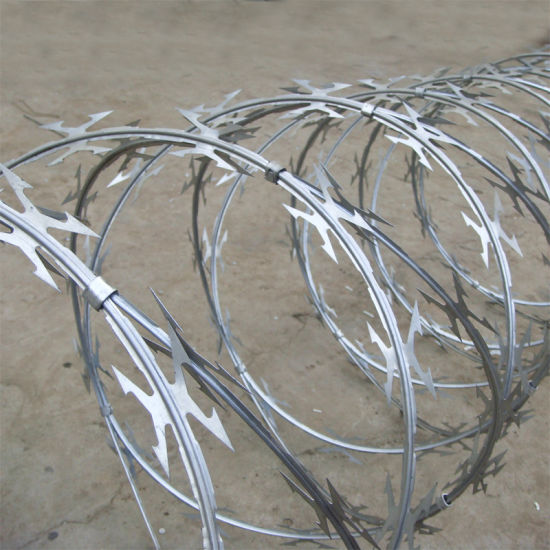 Durable China Razor Wire Mesh for Industrial Security Solutions