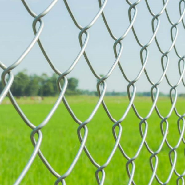 Galvanized Chain Link Fencing Wire Corrosion Resistance.