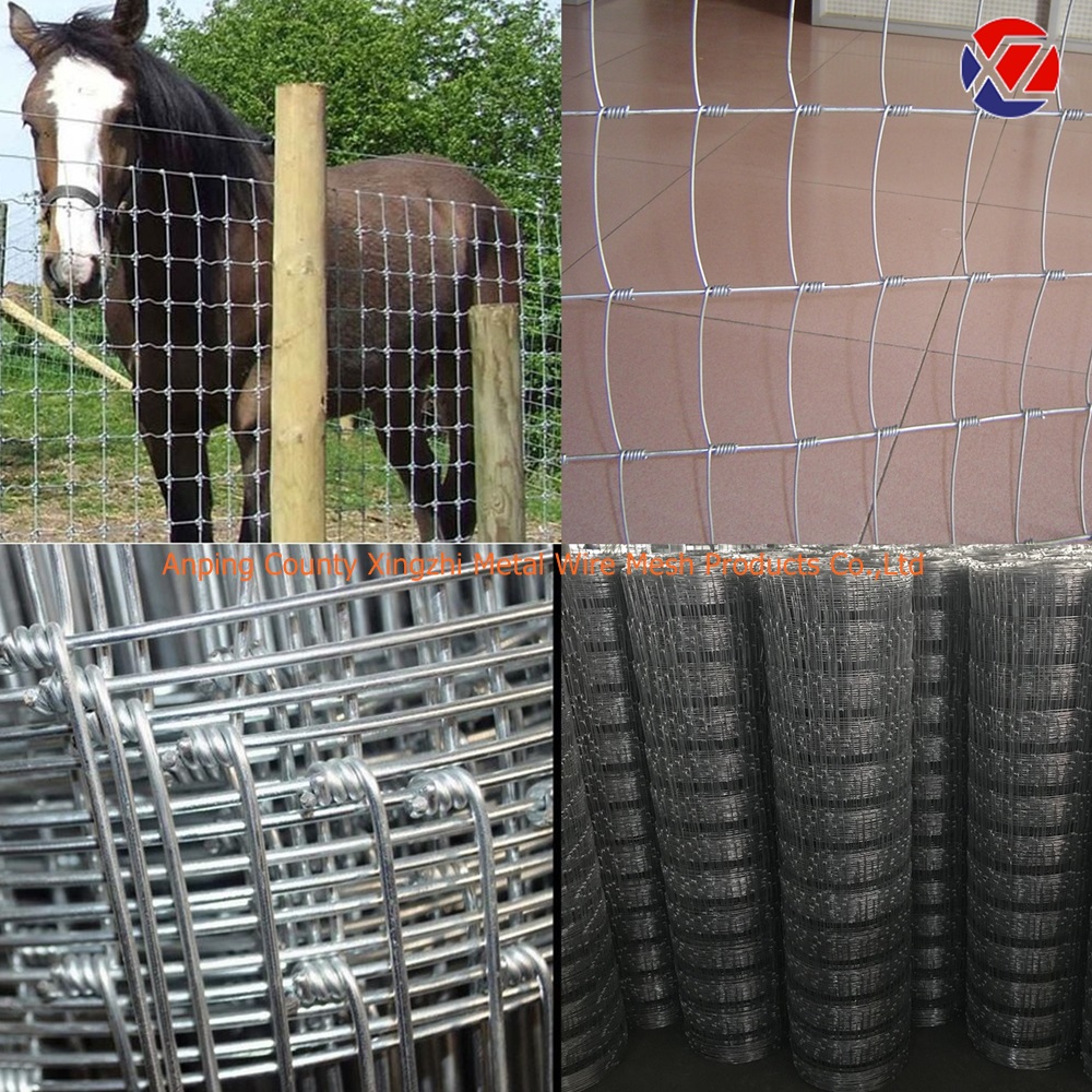 Field Fence Height Requirements for Different Livestock.