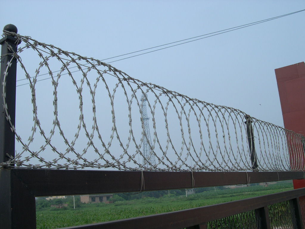 Comparing Concertina Wire Price from Different Suppliers.
