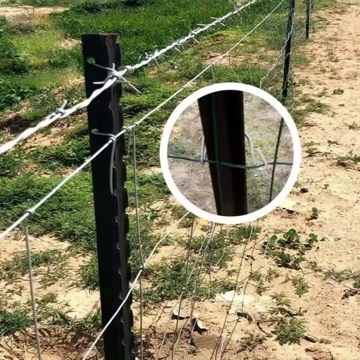 Enhance Your Property with a Reliable Field Fence