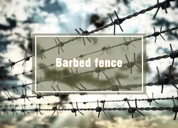 High-Quality PVC Coated Barbed Wire