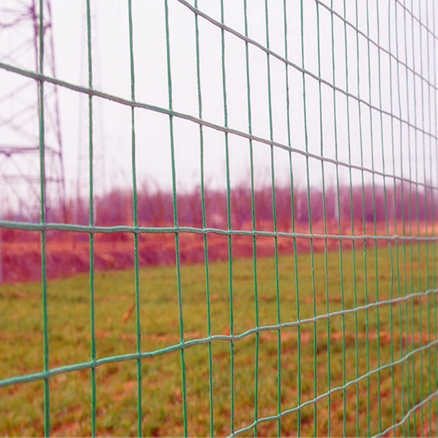 Quality Wire Mesh Fencing Options