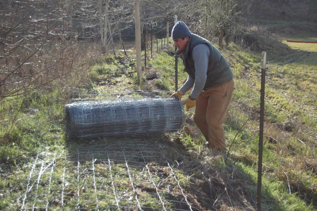 Enhance Your Property with a Reliable Field Fence