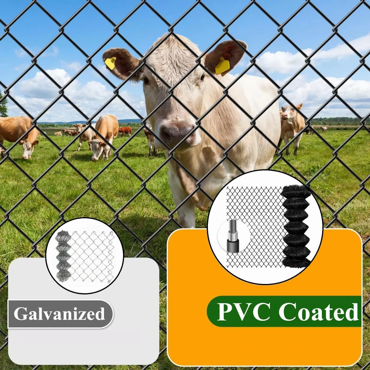 The Evolution of Perimeter Security: A Comprehensive Look at Modern Mesh Solutions