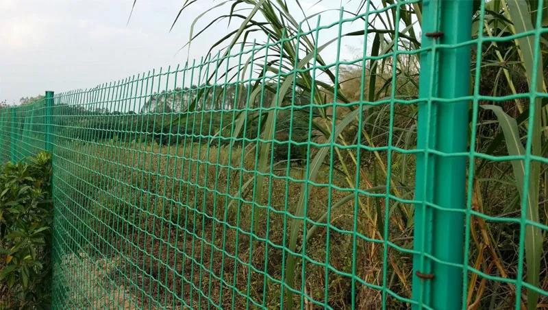Euro Steel Wire Mesh Fence | Durable & Secure Fencing Solutions