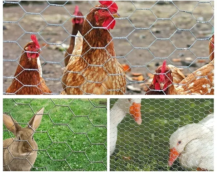 Secure Galvanized Hexagonal Poultry Wire Mesh