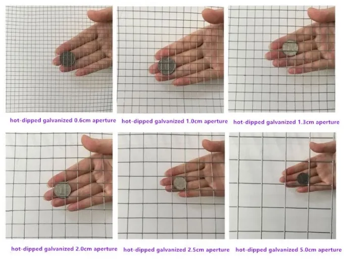 Understanding Wire Mesh for Security and Construction